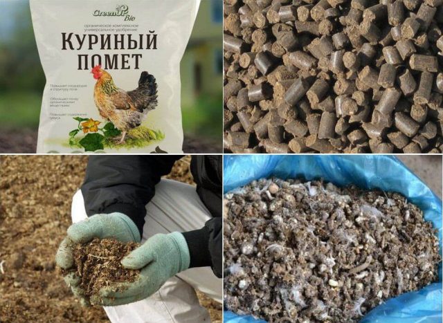 Пеллеты на основе куриного помета