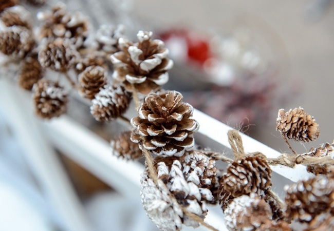 Заснеженные шишки своими руками Заснеженные шишки для дома